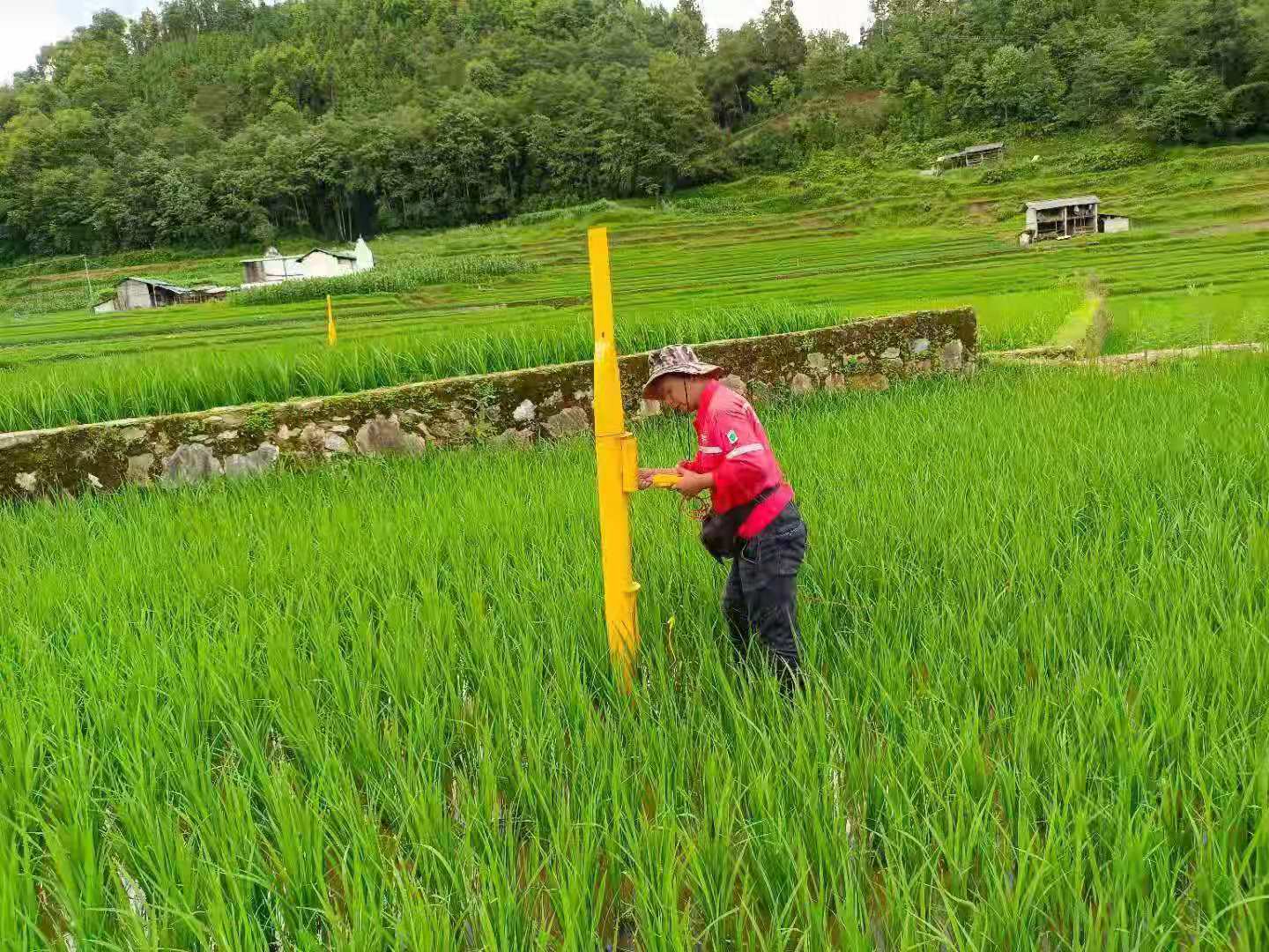 俯身侧面,俯身,俯身动作_大山谷图库